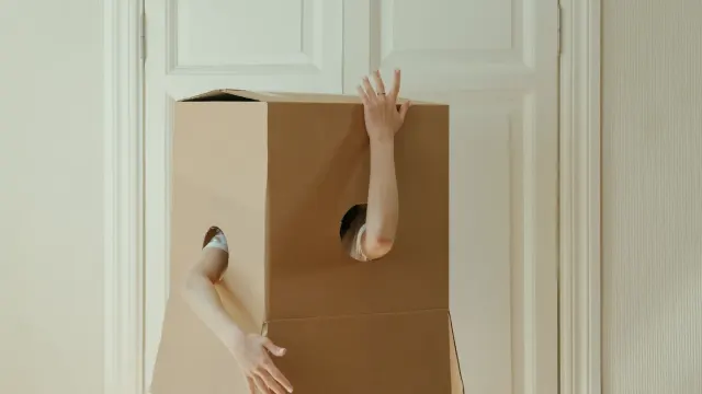 A gray-muzzled dog nosing into an open cardboard box filled with paper tubes and treats