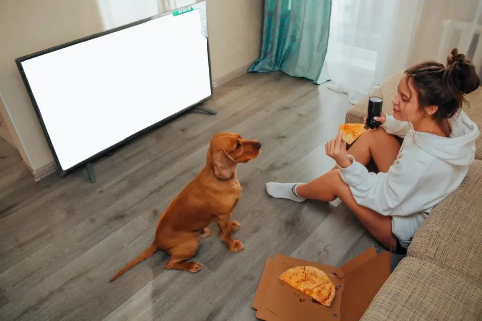 Dog eating from a bowl at home