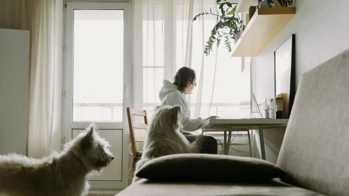 Dog eating from a bowl at home