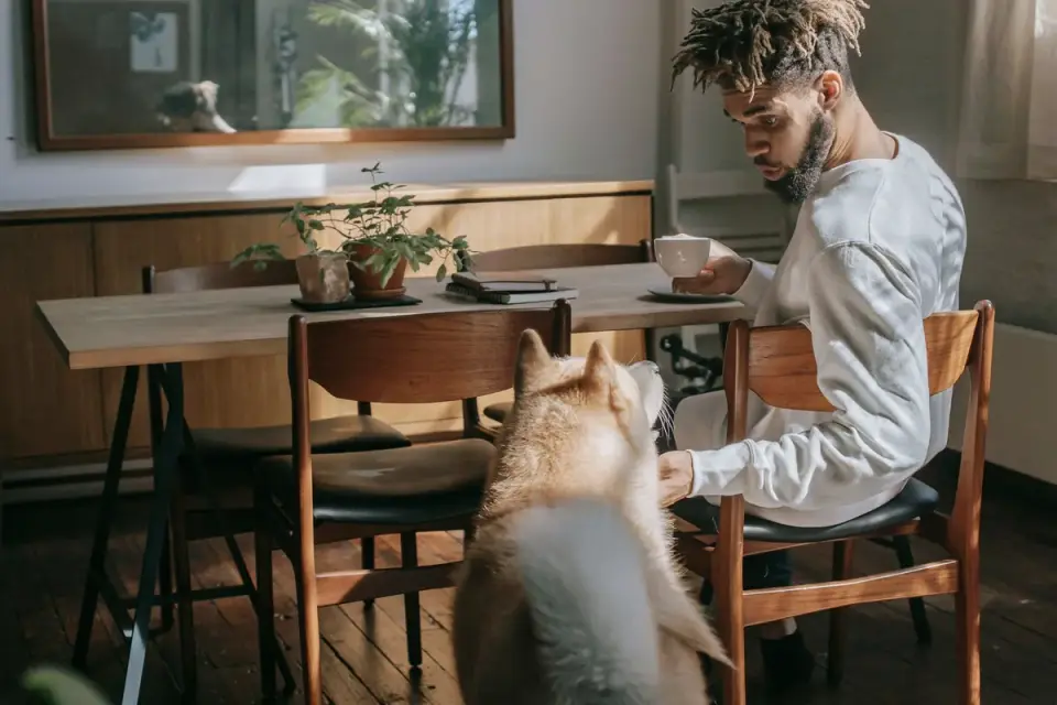 Dog in a kitchen with an owner