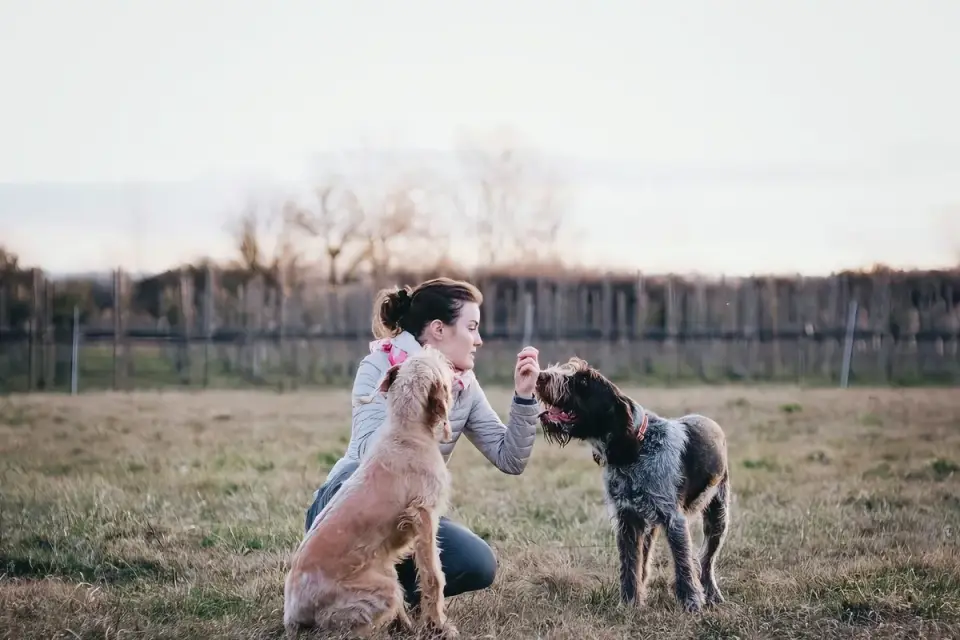Dog owner preparing a meal
