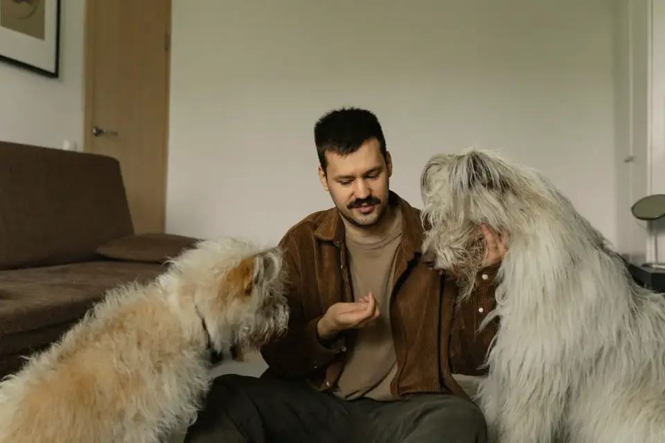 Dog owner preparing a meal