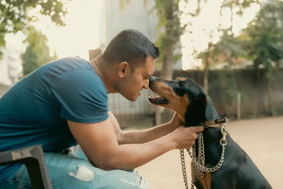 Dog owner preparing a meal