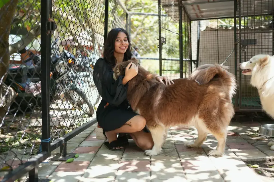 Dog owner preparing a meal