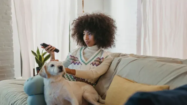 Dog resting beside an owner