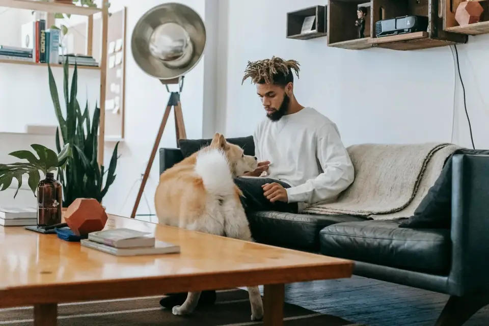 Dog resting beside an owner