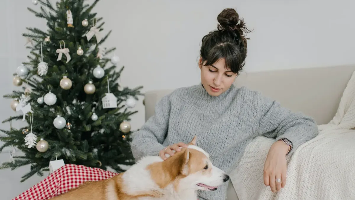 Dog resting beside an owner