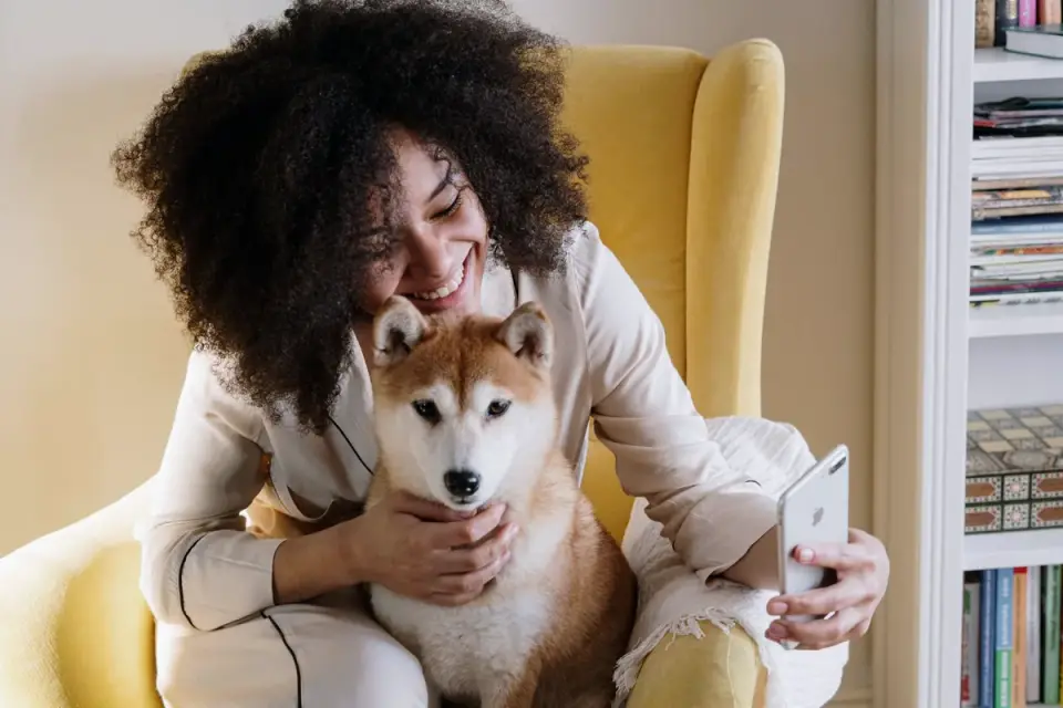Dog resting beside an owner