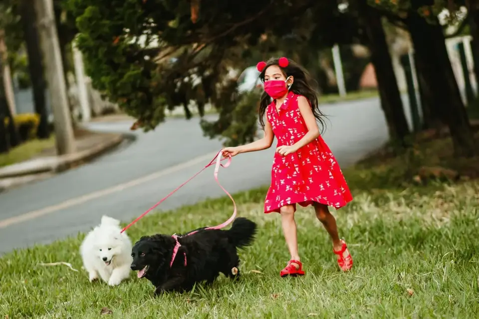 Dog walking outdoors