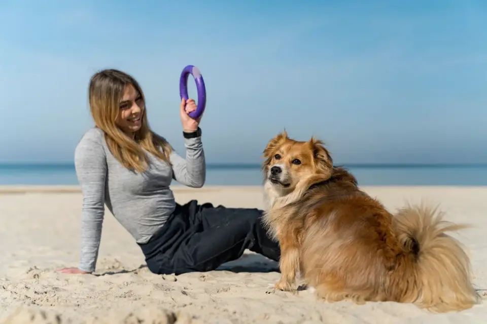 Dog with a rubber toy