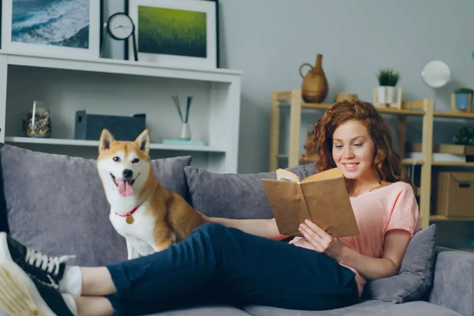 Dog with an owner at home