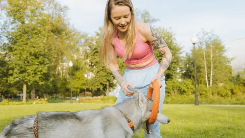 Older dog with an owner in a park