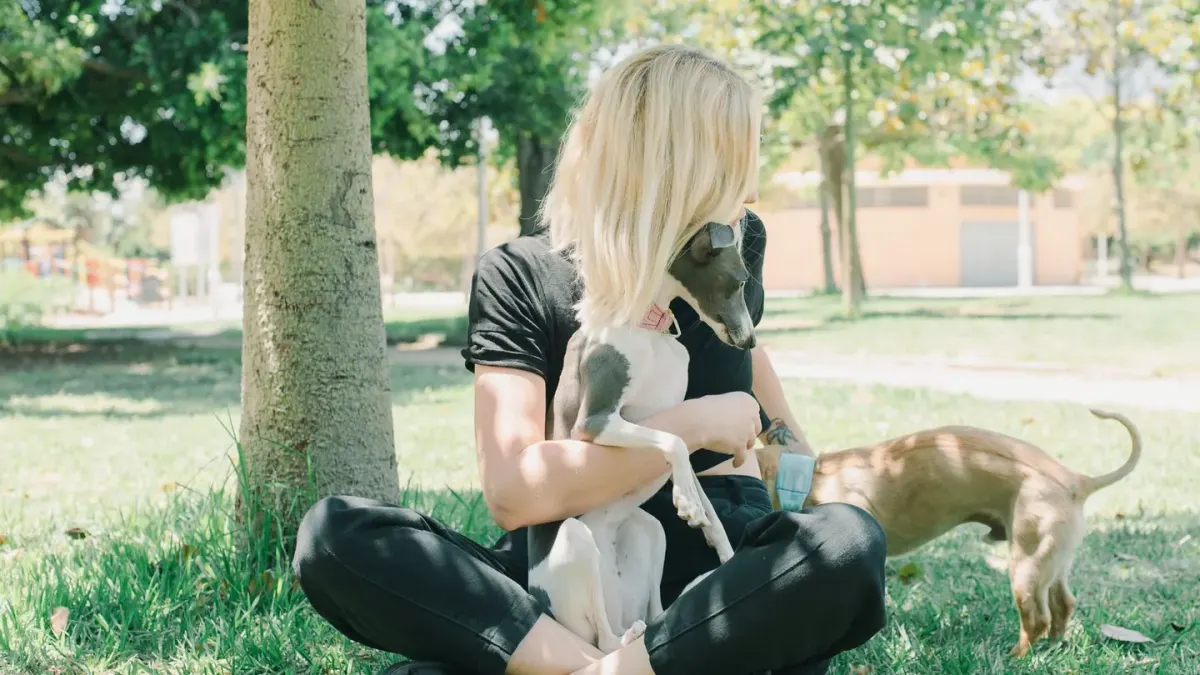 Older dog with an owner in a park