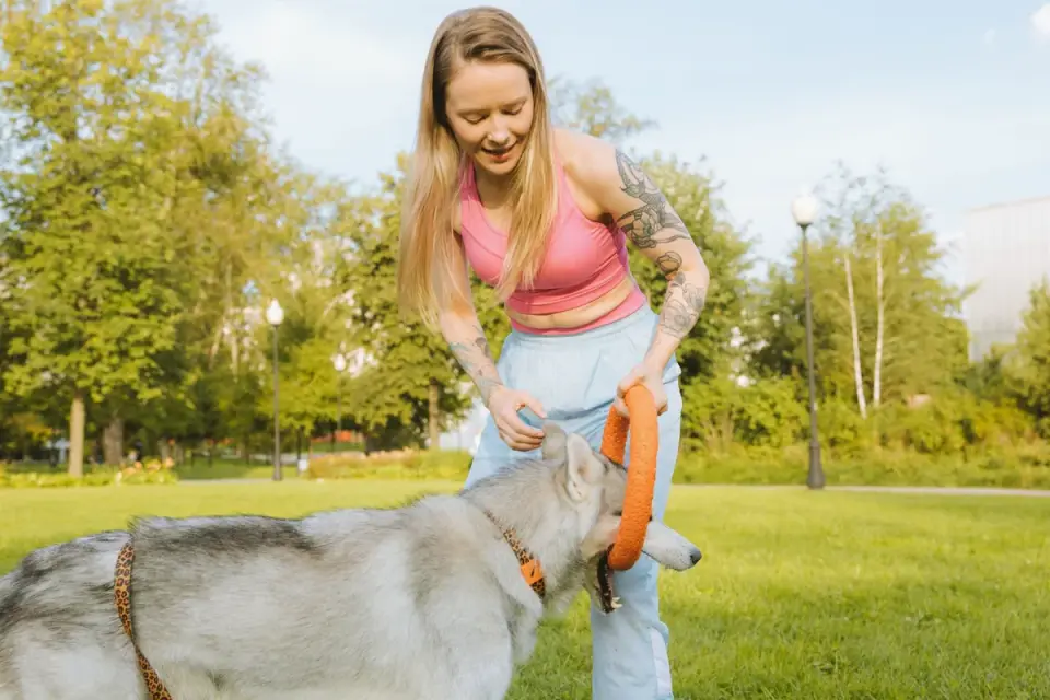 Older dog with an owner in a park