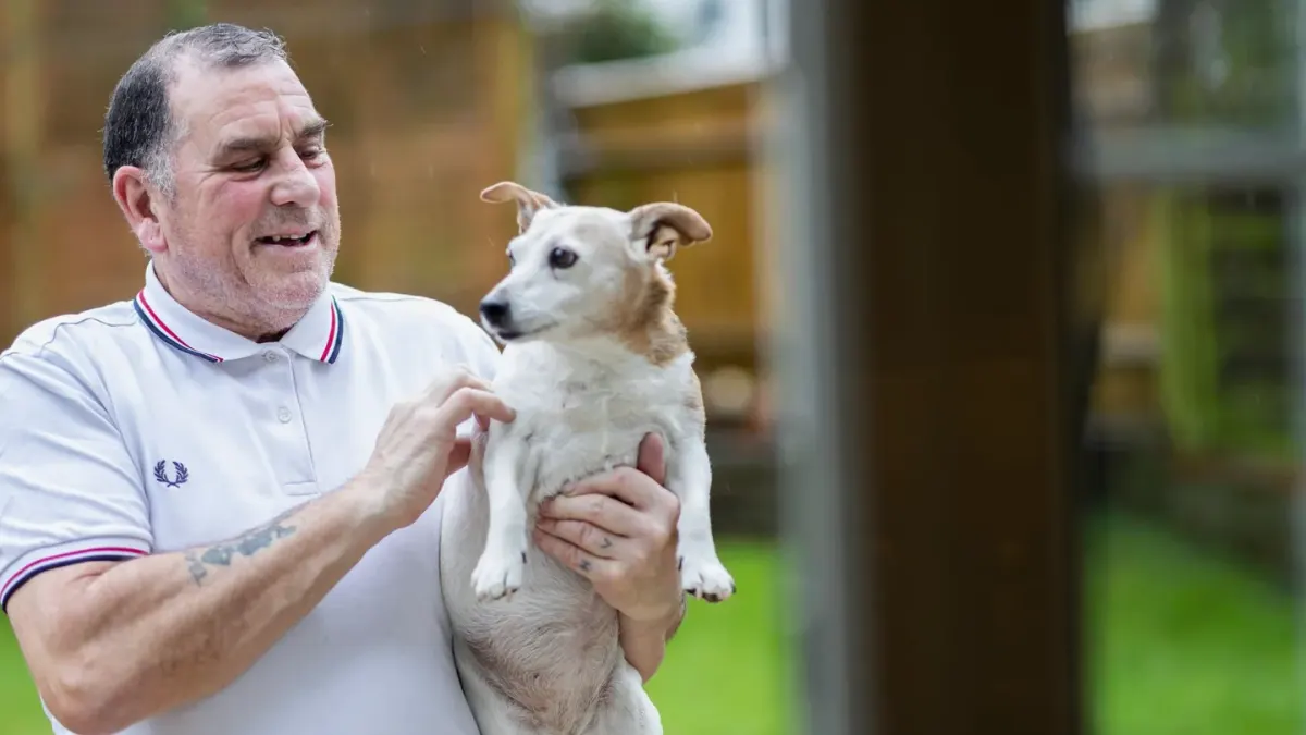 Owner helping a senior dog