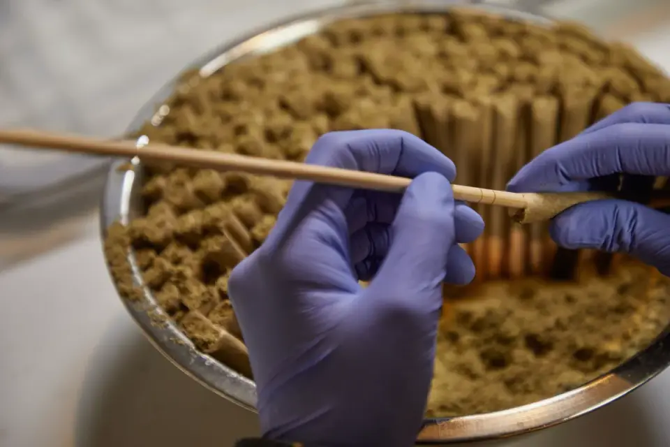 Soft chew joint supplement pieces measured out next to a dog's bowl