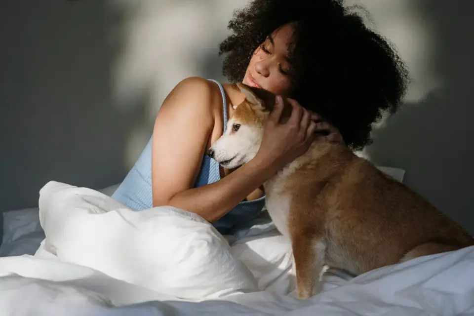 Veterinarian palpating a dog's hip during a wellness exam